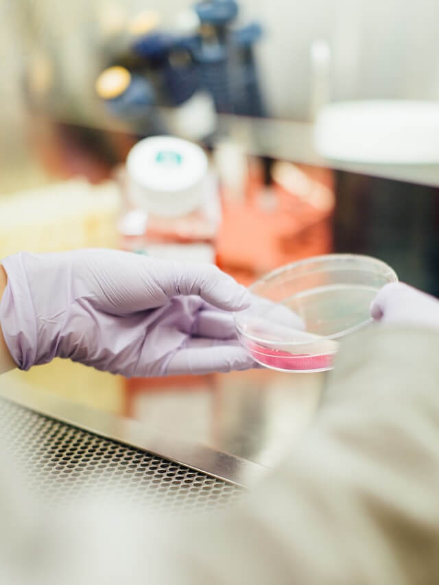 drew hays tGYrlchfObE unsplash